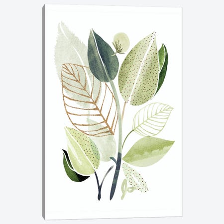 Spring Botanical Collage Canvas Print #MTP259} by Modern Tropical Art Print