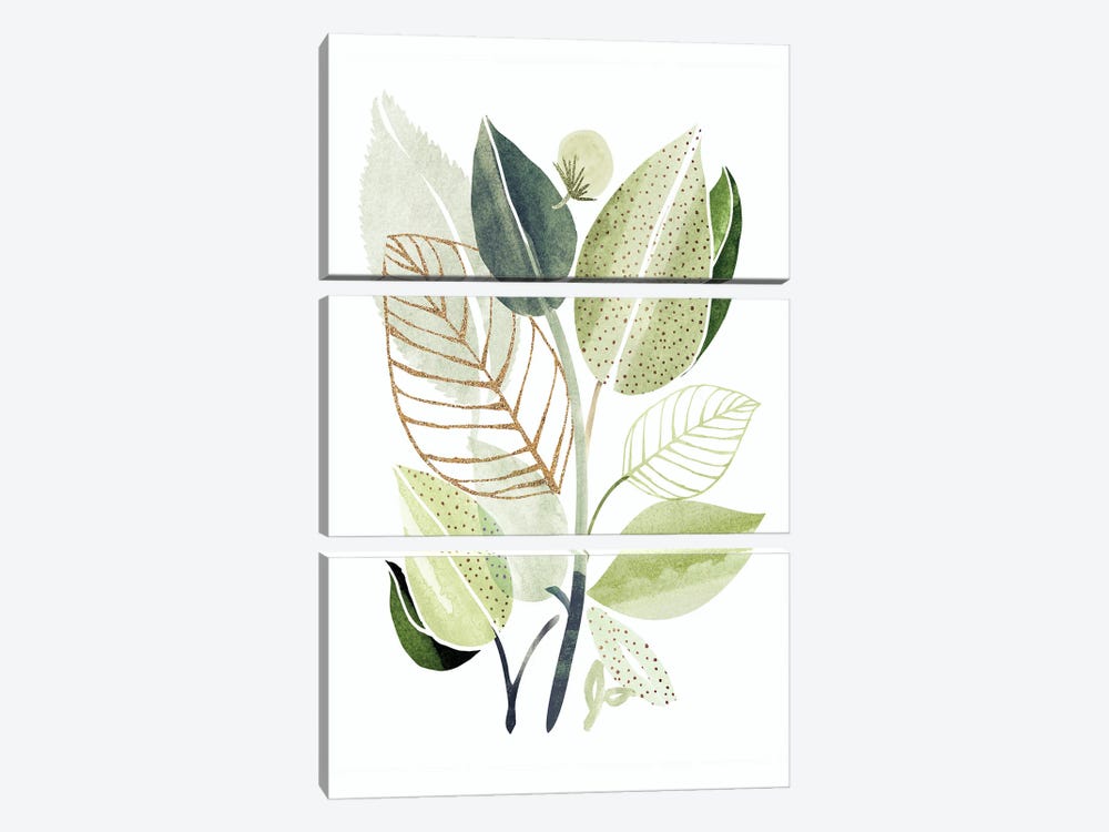 Spring Botanical Collage by Modern Tropical 3-piece Canvas Print