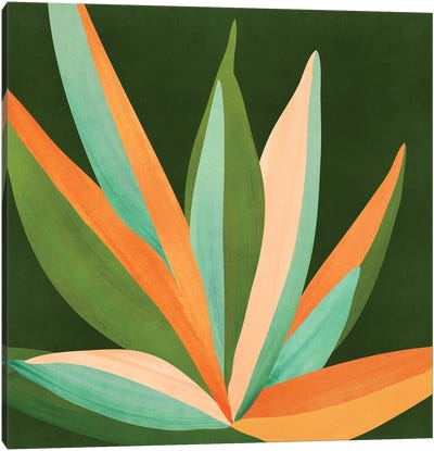 Colorful Agave Cactus Canvas Art Print - Modern Tropical