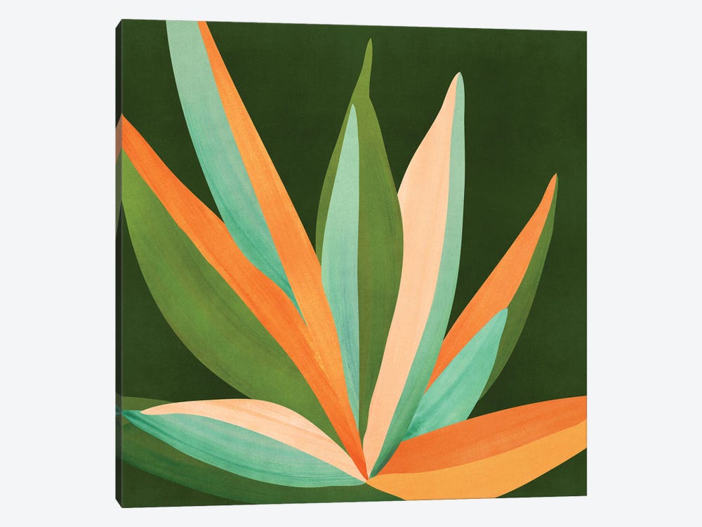 Colorful Agave Cactus by Modern Tropical 1-piece Canvas Art