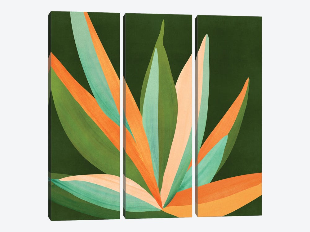 Colorful Agave Cactus by Modern Tropical 3-piece Canvas Wall Art