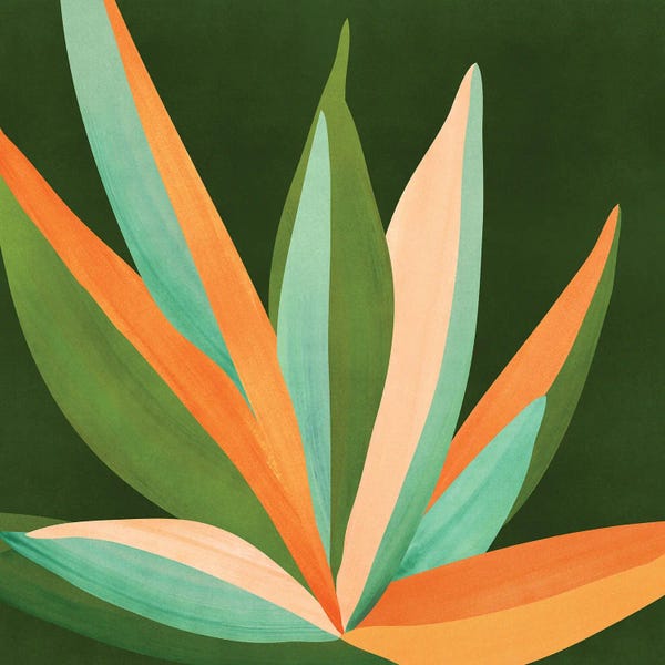 Pineapples: Colorful Agave Cactus by Modern Tropical