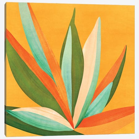 Colorful Agave Canvas Print #MTP278} by Modern Tropical Canvas Print