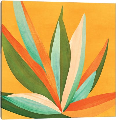 Colorful Agave Canvas Art Print - Tropical Leaf Art
