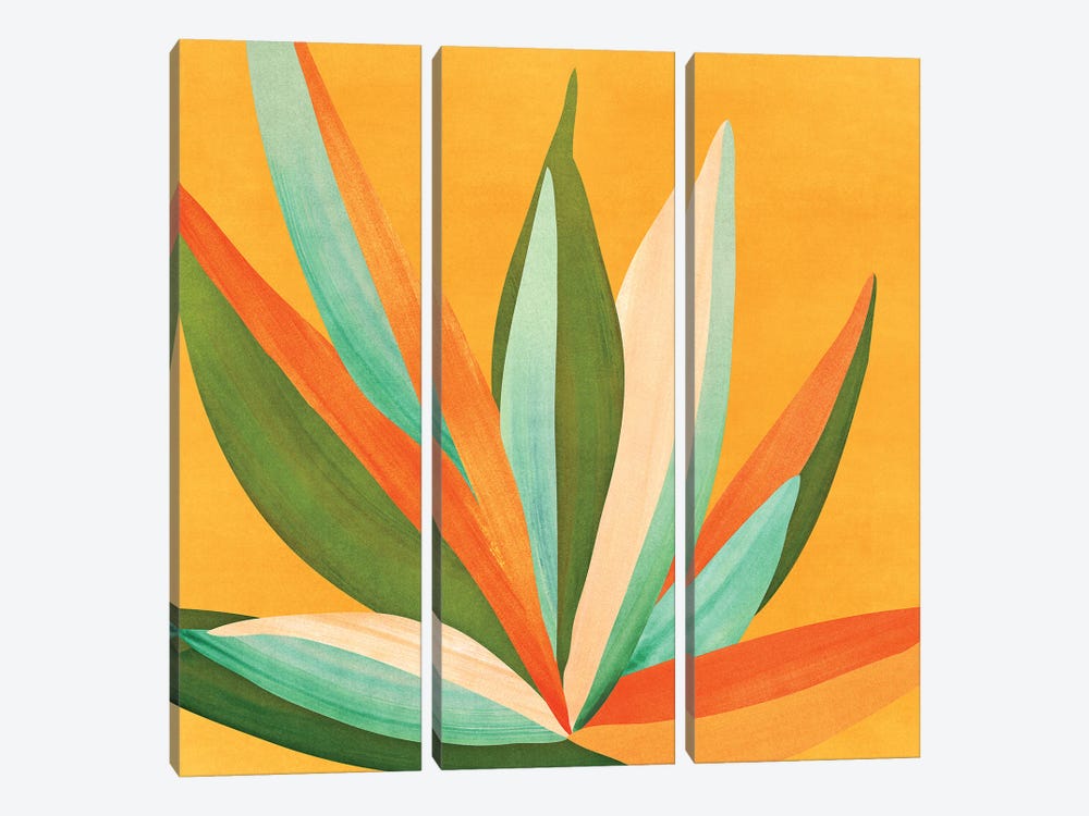 Colorful Agave 3-piece Canvas Art