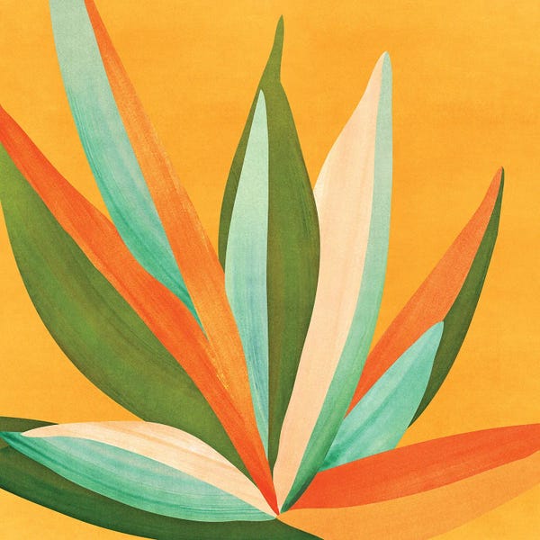 Succulents: Colorful Agave by Modern Tropical