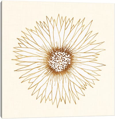 Gold Sunflower Canvas Art Print - Cream Art