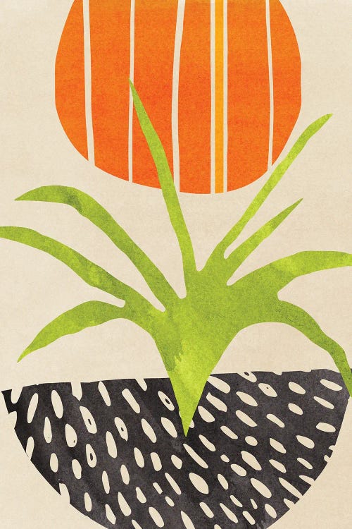 Sunny Houseplant by Modern Tropical wall art