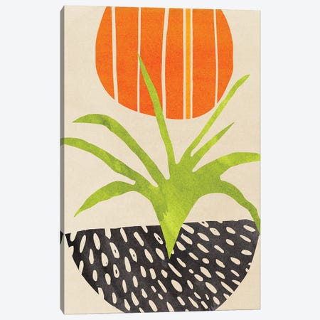 Sunny Houseplant Canvas Print #MTP280} by Modern Tropical Canvas Art