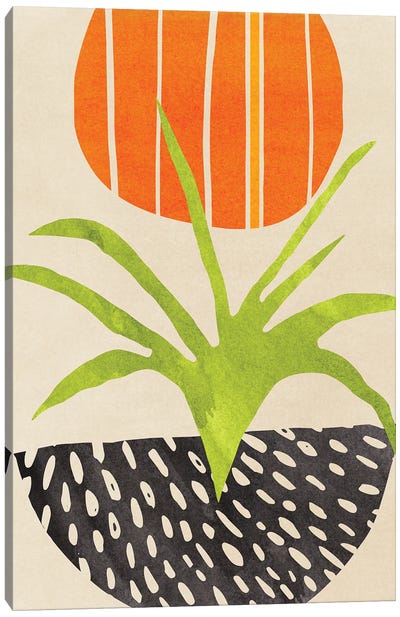 Sunny Houseplant Canvas Art Print - Modern Tropical