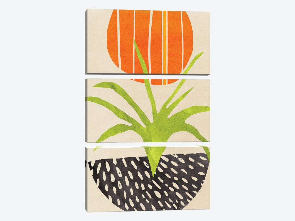 Sunny Houseplant by Modern Tropical 3-piece Art Print
