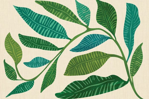 Modern Tropical: Let's Go Botanical by Modern Tropical