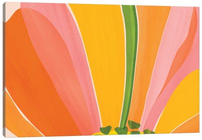Rainbow Bloom Botanical Canvas Art Print - Minimalist Flowers