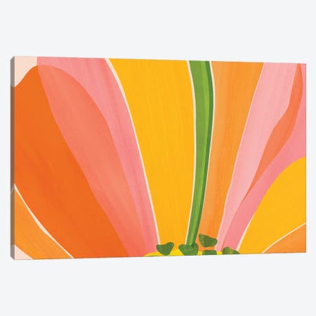 Rainbow Bloom Botanical Canvas Print #MTP285} by Modern Tropical Art Print
