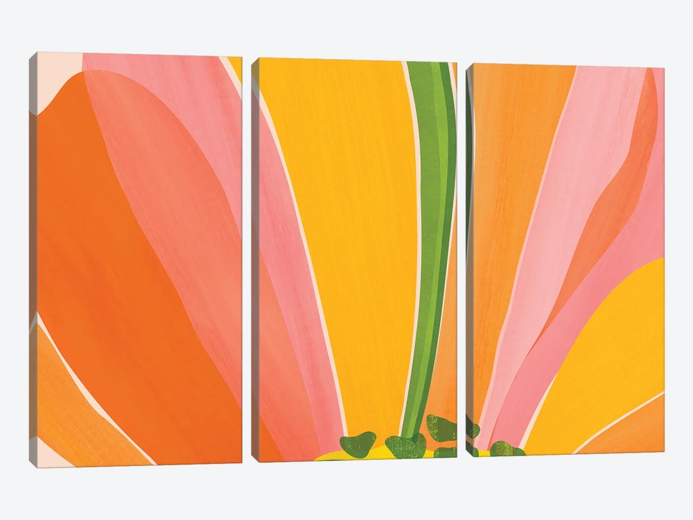 Rainbow Bloom Botanical by Modern Tropical 3-piece Canvas Artwork