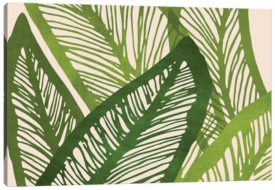 Green Tropics Canvas Art Print - Modern Tropical