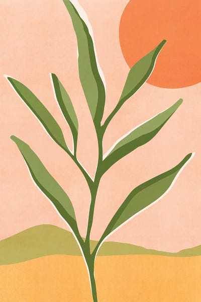 The Sun And The Succulent by Modern Tropical canvas print