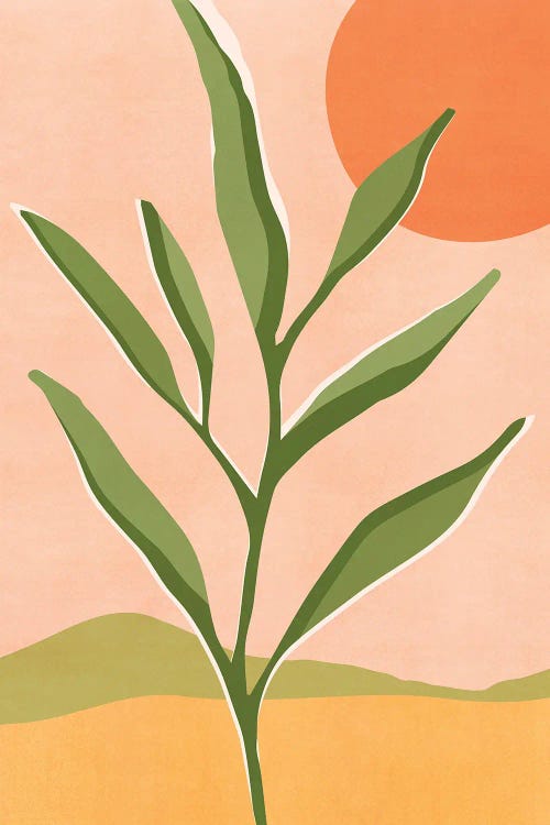 The Sun And The Succulent by Modern Tropical wall art