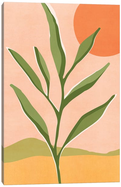 The Sun And The Succulent Canvas Art Print - Modern Tropical