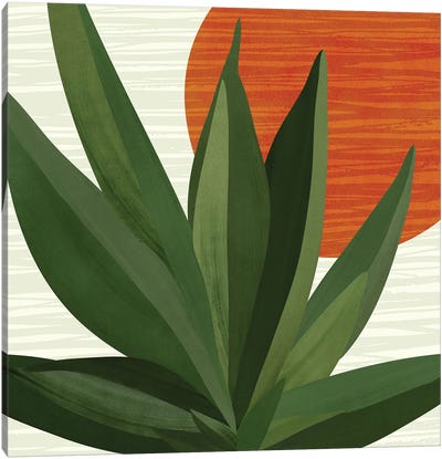 Desert Soul Canvas Art Print - Modern Tropical