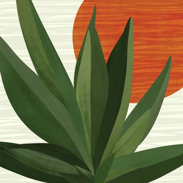 Tropical Leaves: Desert Soul by Modern Tropical