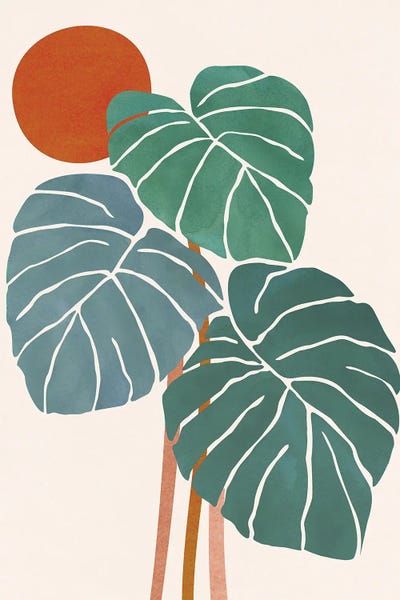 Monsteras: Monstera and Sunshine by Modern Tropical