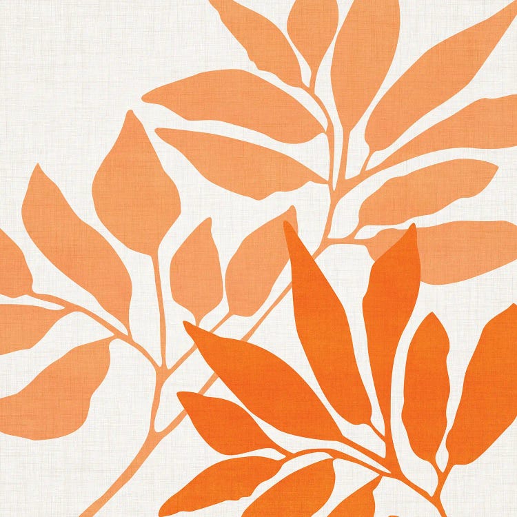 Sunrise Through The Trees by Modern Tropical wall art