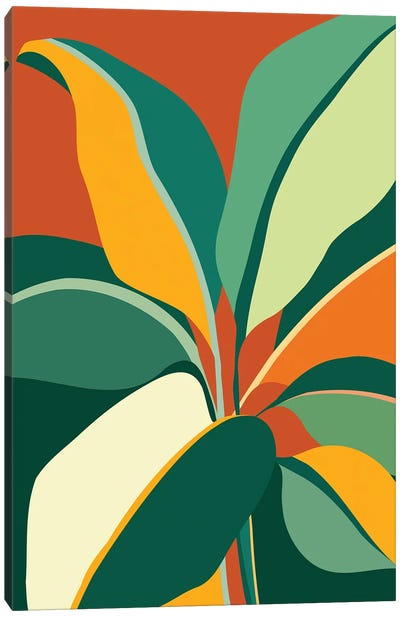 Cowboy Plant Canvas Art Print - Modern Tropical