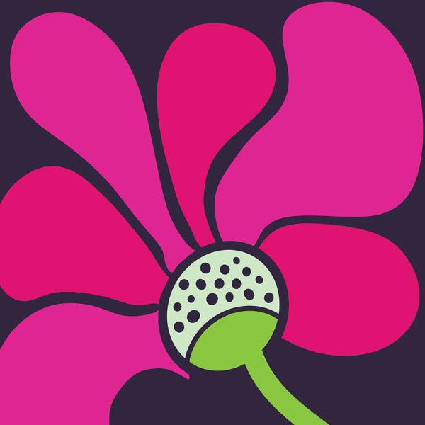 Magenta Bloom
