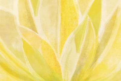 Succulent And Sunshine by Modern Tropical framed wall art