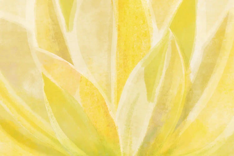 Succulent And Sunshine by Modern Tropical wall art