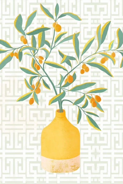 Chinese Citrus Tree