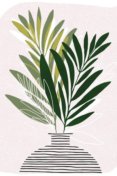 Olive Branches