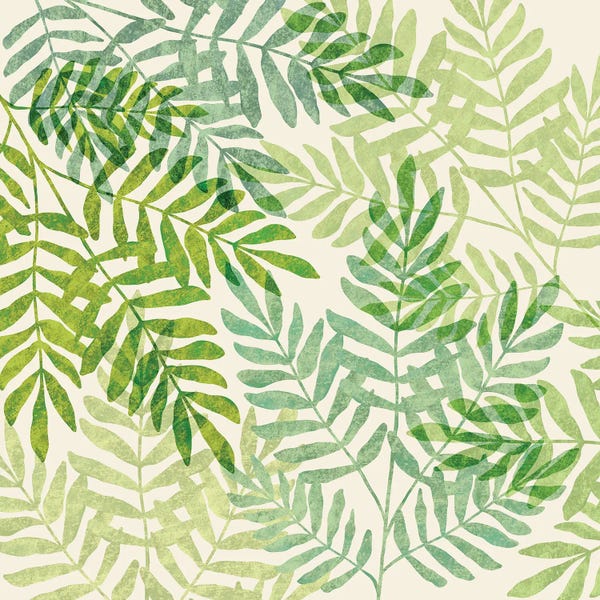 Tropical Forest Ferns