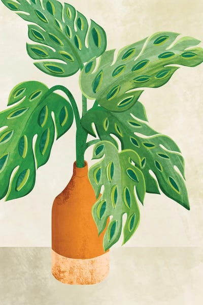 Modern Tropical: Mini Monstera by Modern Tropical