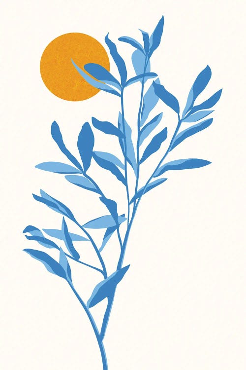 Eucalyptus And Sun by Modern Tropical wall art