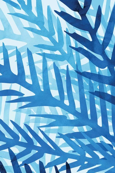 Jungles: Jungle Palm by Modern Tropical