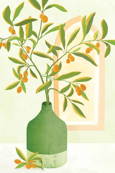 Modern Tropical: Mediterranean Olives by Modern Tropical