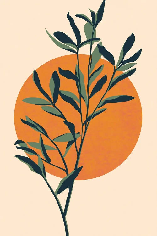 Eucalyptus Sunset