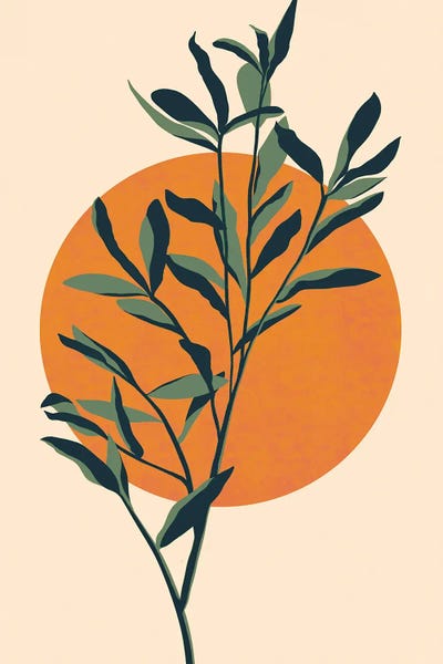 Eucalyptus Sunset
