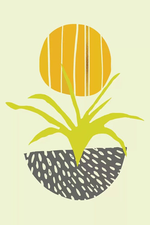 Abstract Minimal Desert by Modern Tropical wall art