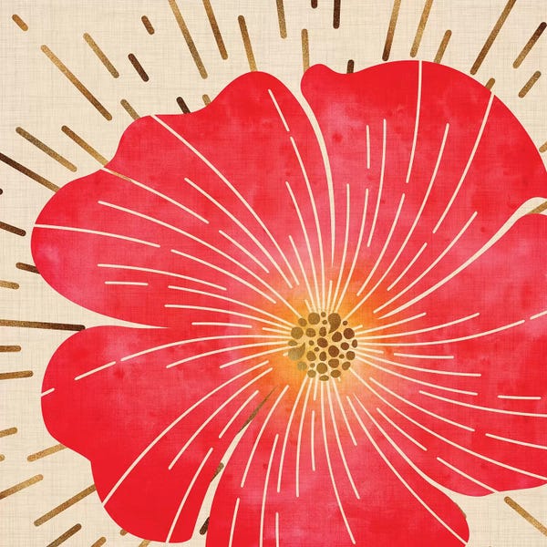 Bohemian Décor: Red Hibiscus by Modern Tropical