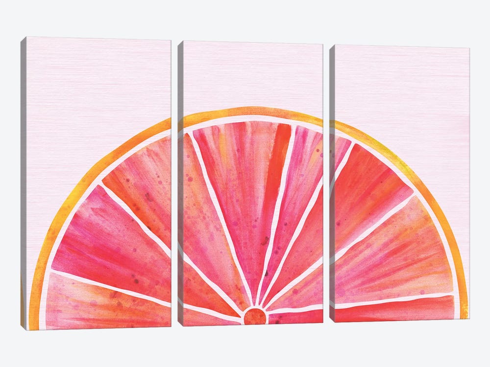 Sunny Grapefruit by Modern Tropical 3-piece Canvas Art Print