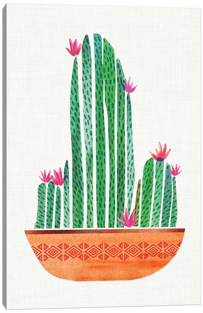 Tiny Cactus Blossoms I Canvas Art Print - Modern Tropical