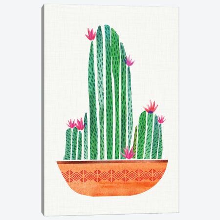 Tiny Cactus Blossoms I Canvas Print #MTP68} by Modern Tropical Canvas Art