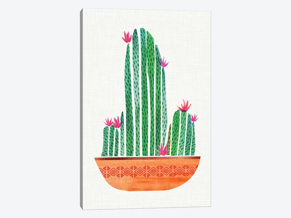 Tiny Cactus Blossoms I by Modern Tropical 1-piece Canvas Wall Art