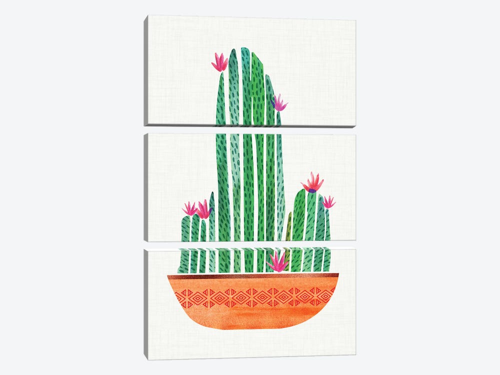 Tiny Cactus Blossoms I by Modern Tropical 3-piece Canvas Art