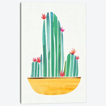 Tiny Cactus Blossoms II Canvas Print #MTP69} by Modern Tropical Canvas Wall Art