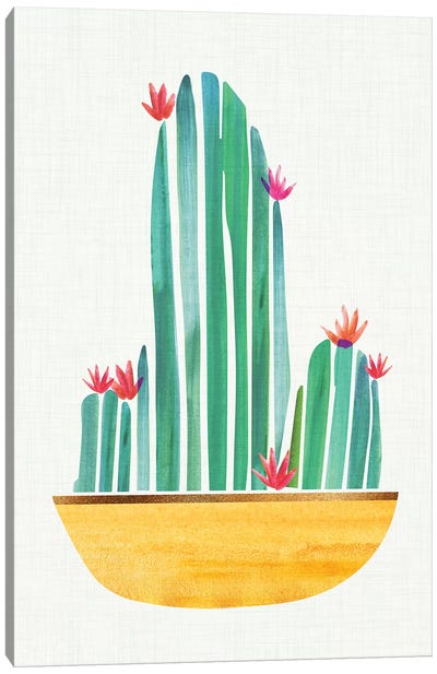 Tiny Cactus Blossoms II Canvas Art Print - Modern Tropical