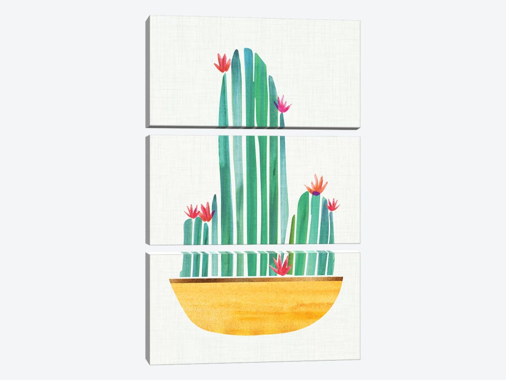 Tiny Cactus Blossoms II by Modern Tropical 3-piece Canvas Print